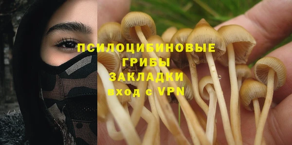 каннабис Беломорск