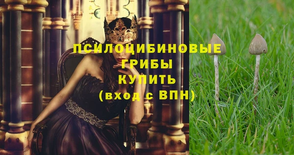 марихуана Богородицк