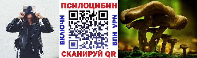 Псилоцибиновые грибы Psilocybe  Гусев 