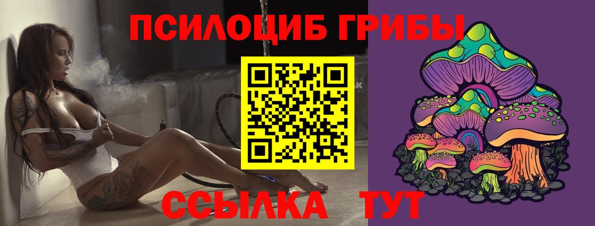 Псилоцибиновые грибы GOLDEN TEACHER  Вход с VPN  Гусев 