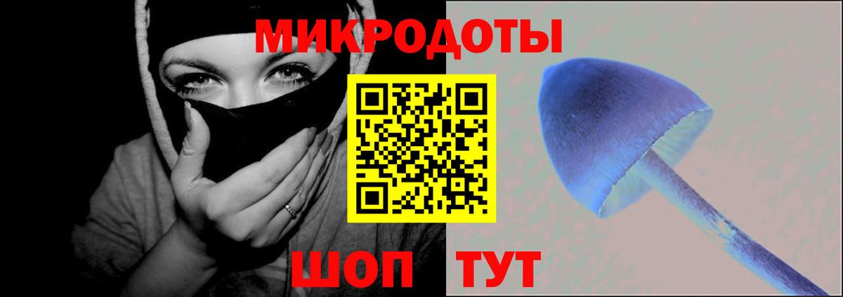 Псилоцибиновые грибы GOLDEN TEACHER Гусев