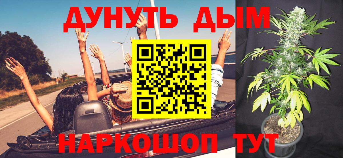 Канабис конопля  Канабис семена  Бошки Шишки Bruce Banner  Вход с VPN  Гусев 